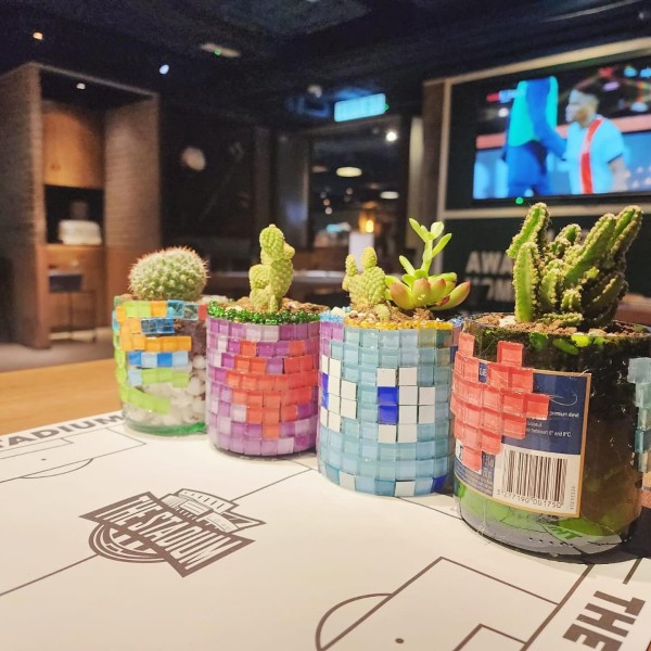 環保酒樽多肉植物DIY工作坊