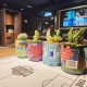 環保酒樽多肉植物DIY工作坊
