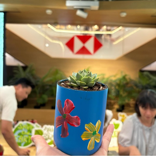 環保酒樽多肉植物DIY工作坊