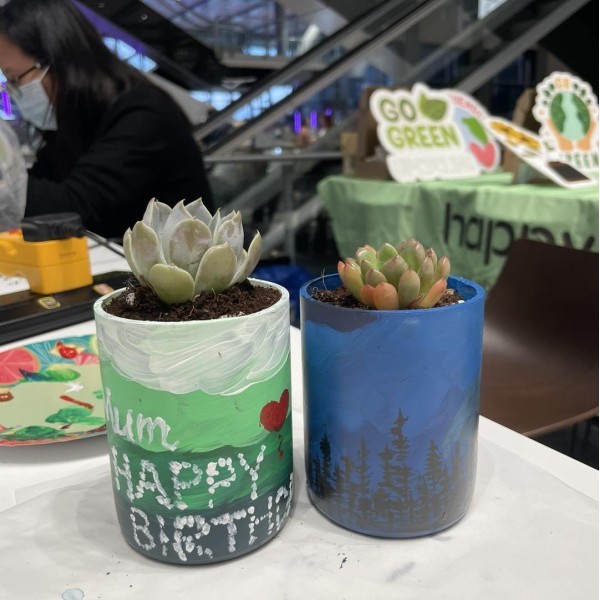 環保酒樽多肉植物DIY工作坊