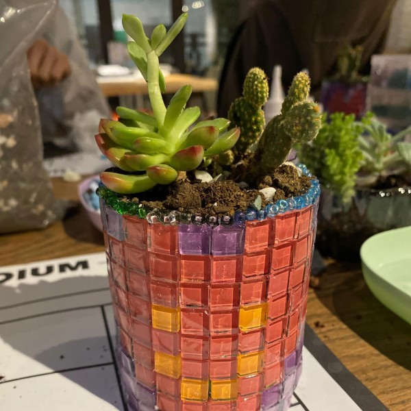 環保酒樽多肉植物DIY工作坊