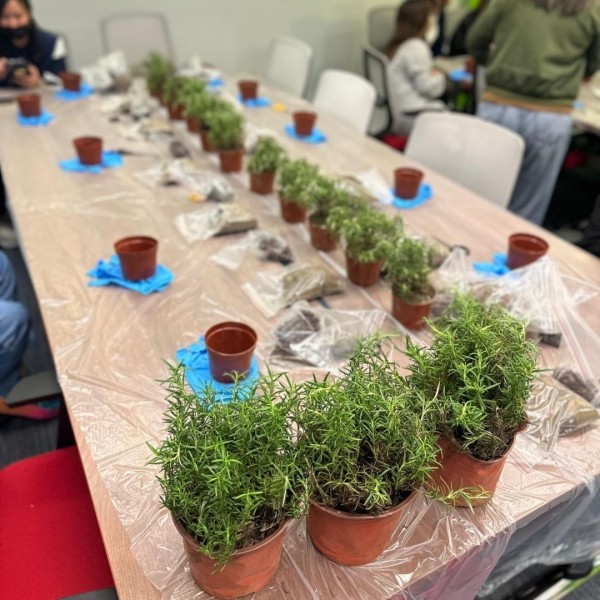 廚房香草DIY工作坊
