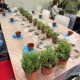 廚房香草DIY工作坊