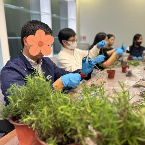 廚房香草DIY工作坊
