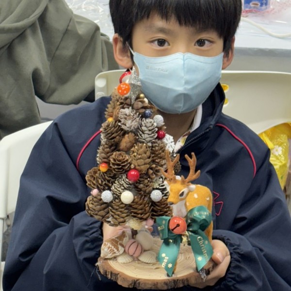 天然貴族松聖誕樹DIY工作坊